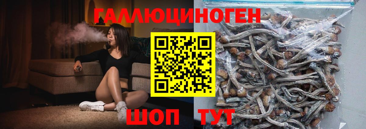 Котовск  Псилоцибиновые грибы мицелий  Вход с VPN 